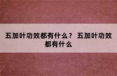 五加叶功效都有什么？ 五加叶功效都有什么